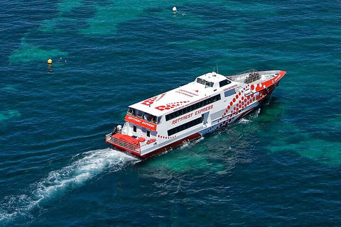Discover Rottnest With Ferry & Bus Tour From Perth Or Fremantle - Accommodation Fremantle 3