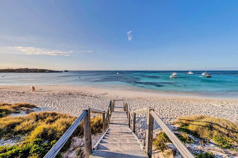 Discover Rottnest With Ferry & Bus Tour From Perth Or Fremantle - Accommodation Fremantle 4