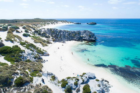 Discover Rottnest With Ferry & Bus Tour From Perth Or Fremantle - Accommodation Fremantle 5