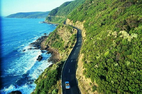 Melbourne Super Saver: Great Ocean Road + Mornington Peninsula + Attraction Pass - Accommodation Fremantle 0