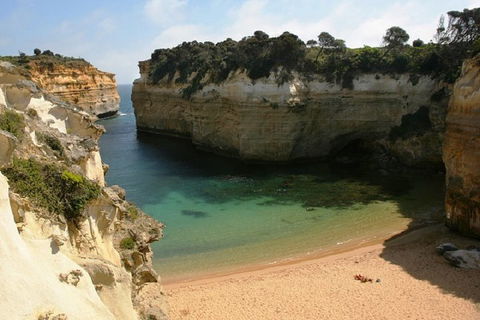 Melbourne Super Saver: Great Ocean Road + Mornington Peninsula + Attraction Pass - Accommodation Fremantle 3