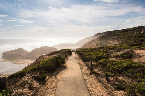 Melbourne Super Saver: Great Ocean Road + Mornington Peninsula + Attraction Pass - Accommodation Fremantle 4
