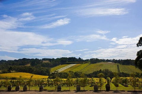 Melbourne Super Saver: Great Ocean Road + Mornington Peninsula + Attraction Pass - Accommodation Fremantle 5