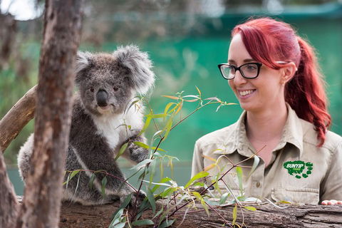 Small-Group Phillip Island Penguin Parade Day Tour From Melbourne - Accommodation Fremantle 0