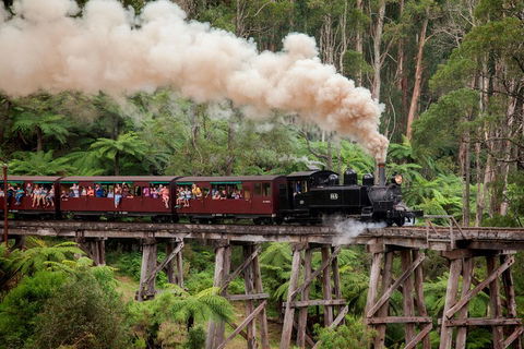 Melbourne Combo: Great Ocean Road, Puffing Billy, Moonlit Sanctuary & Penguins - Accommodation Fremantle 1