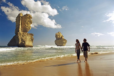 Melbourne Combo: Great Ocean Road, Puffing Billy, Moonlit Sanctuary & Penguins - Accommodation Fremantle 2