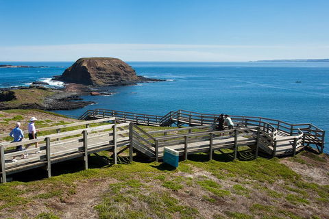 Melbourne Combo: Great Ocean Road, Puffing Billy, Moonlit Sanctuary & Penguins - Accommodation Fremantle 5
