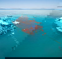 Ocean Freedom Great Barrier Reef Personal Luxury Snorkel  Dive Cruise Cairns - Accommodation Fremantle