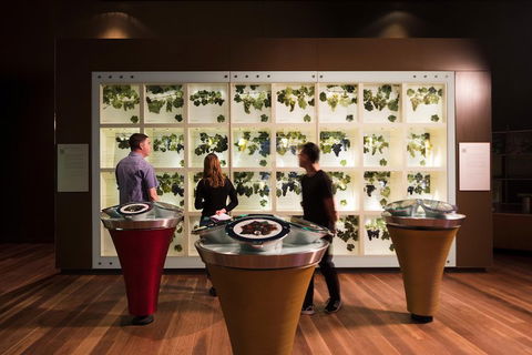 Australian Wine Discovery Tour With Tastings - Accommodation Fremantle 4