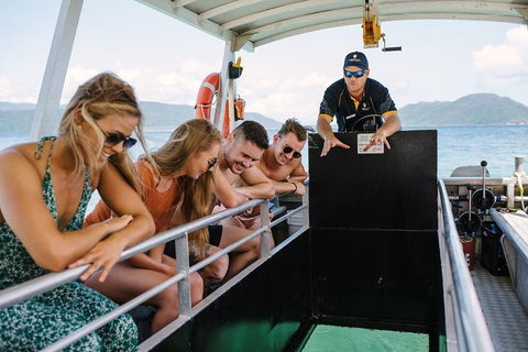 Fitzroy Island Day Trip From Cairns - Accommodation Fremantle 4