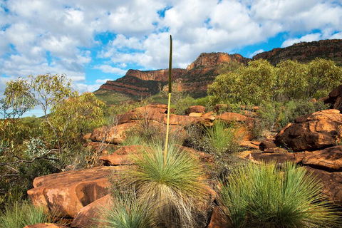 6-Day Eyre Peninsula & Flinders Ranges Adventure Tour - Accommodation Fremantle 1