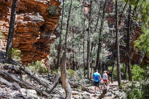 6-Day Eyre Peninsula & Flinders Ranges Adventure Tour - Accommodation Fremantle 5