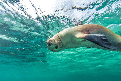 10-Day Adelaide To Perth Adventure Tour - Accommodation Fremantle 1