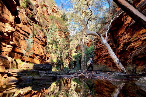 10-Day Adelaide To Perth Adventure Tour - Accommodation Fremantle 5