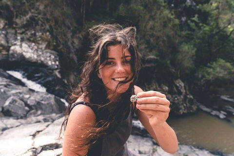 Springbrook AndTamborine Rainforest Tour Incl Natural Bridge And Glow Worm Cave - Accommodation Fremantle 1