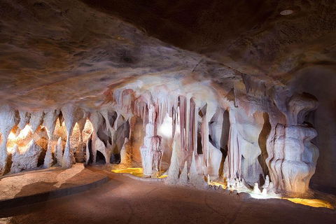 Springbrook AndTamborine Rainforest Tour Incl Natural Bridge And Glow Worm Cave - Accommodation Fremantle 4