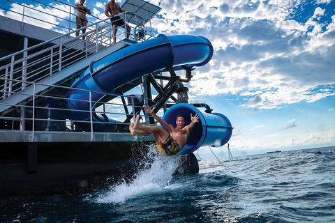 Outer Reef Pontoon Experience From Cairns - Accommodation Fremantle 3