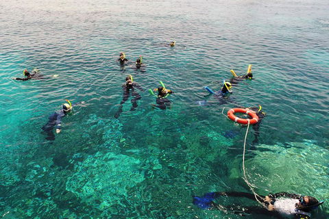 Seastar Luxury Outer Great Barrier Reef Island And Reef Tour From Cairns - Accommodation Fremantle 2
