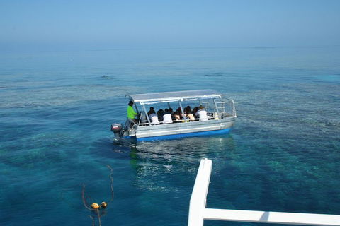 Seastar Luxury Outer Great Barrier Reef Island And Reef Tour From Cairns - Accommodation Fremantle 5
