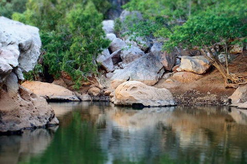 Windjana Gorge And Tunnel Creek 4WD Tour From Broome - Accommodation Fremantle 5