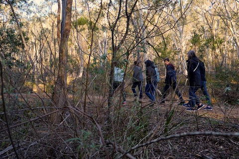 Wild Australian Wildlife 4WD Tour From Sydney - Accommodation Fremantle 0
