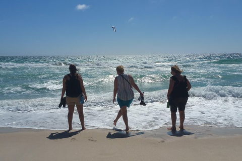 Very Best Of Perth Tour - Wildlife Park & City Highlights Tour - Accommodation Fremantle 5