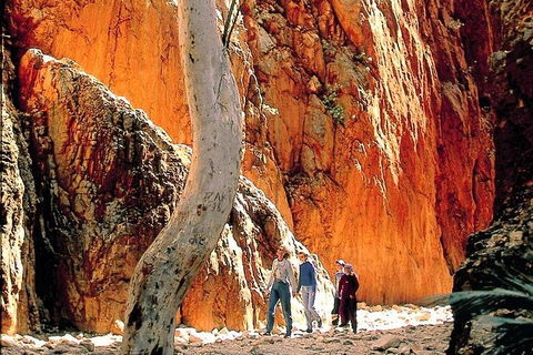 West MacDonnell Ranges Day Trip From Alice Springs - Accommodation Fremantle 3