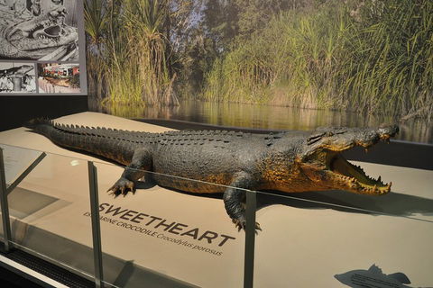 Explore Darwin City Sights Including Key Attractions - Accommodation Fremantle 2