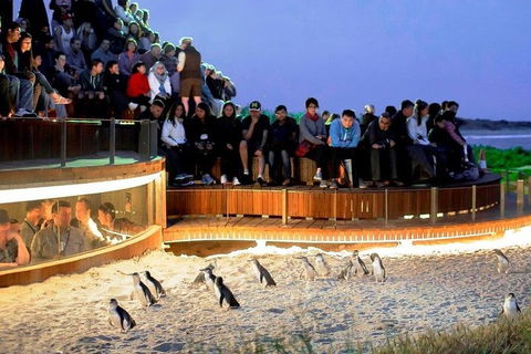 Great Ocean Road & Phillip Island - 3 Days, 2 Nights - Accommodation Fremantle 0