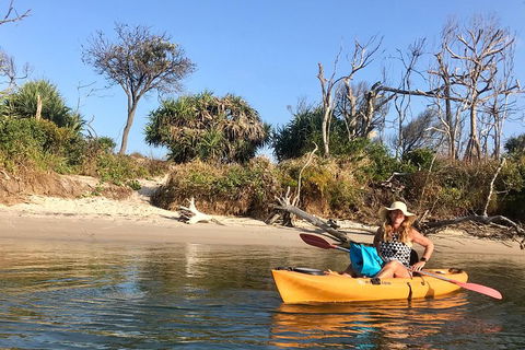 1-Hour Single Or Double Kayak Hire On Golden Beach, Caloundra - Accommodation Fremantle 4