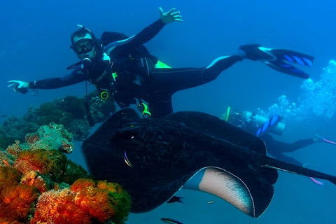Scuba Dive The S.S. Yongala Wreck On The Great Barrier Reef. - Accommodation Fremantle 0