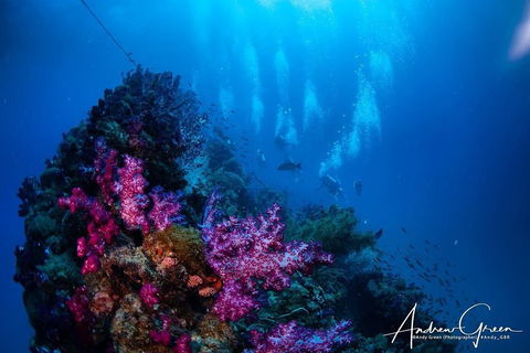 Scuba Dive The S.S. Yongala Wreck On The Great Barrier Reef. - Accommodation Fremantle 2