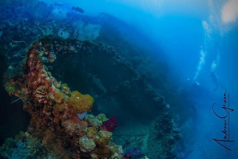 Scuba Dive The S.S. Yongala Wreck On The Great Barrier Reef. - Accommodation Fremantle 3
