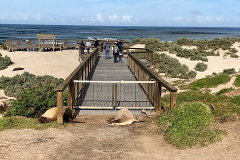 Kangaroo Island 4WD Tour - Best Of KI - Accommodation Fremantle 2