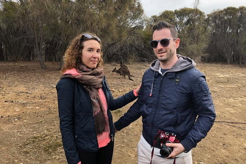 Kangaroo Island 4WD Tour - Best Of KI - Accommodation Fremantle 3