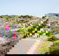 Margaret River Coastal and Wildlife Eco Trip from Busselton or Dunsborough - Accommodation Fremantle