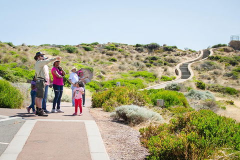Margaret River Coastal And Wildlife Eco Trip From Busselton Or Dunsborough - Accommodation Fremantle 0