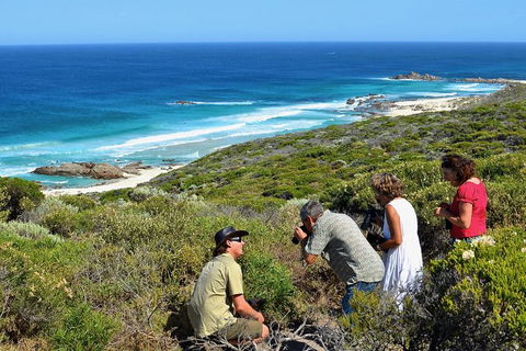Margaret River Coastal And Wildlife Eco Trip From Busselton Or Dunsborough - Accommodation Fremantle 2