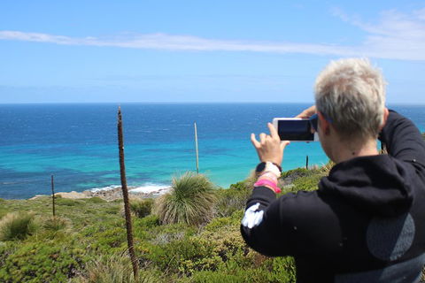 Margaret River Coastal And Wildlife Eco Trip From Busselton Or Dunsborough - Accommodation Fremantle 3