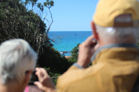 Margaret River Coastal And Wildlife Eco Trip From Busselton Or Dunsborough - Accommodation Fremantle 5